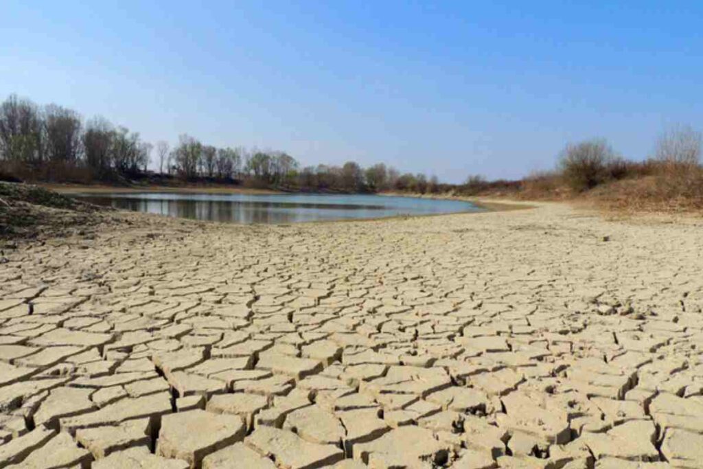 oggi giornata acqua