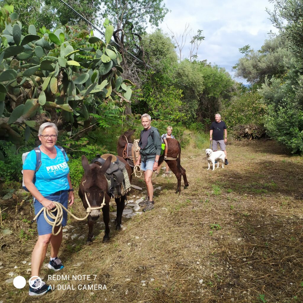 Trekking someggiato