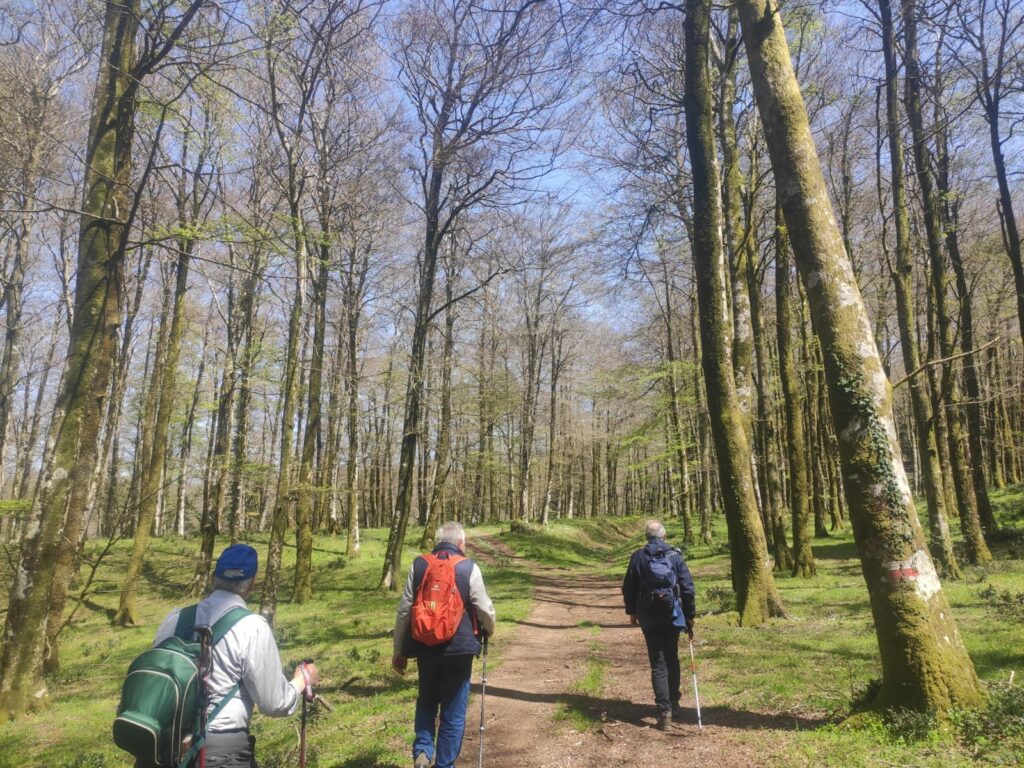 Camminata biodiversità sentiero brigante