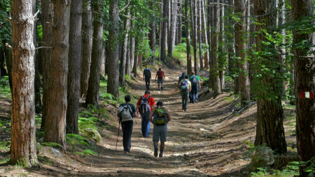 Aspromonte